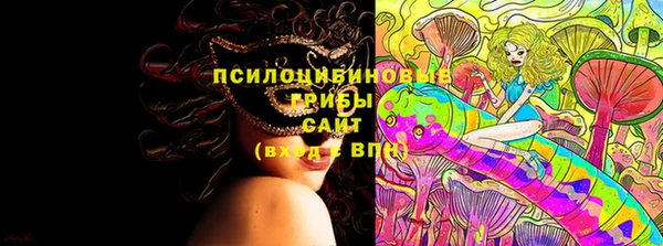 МДМА Бородино
